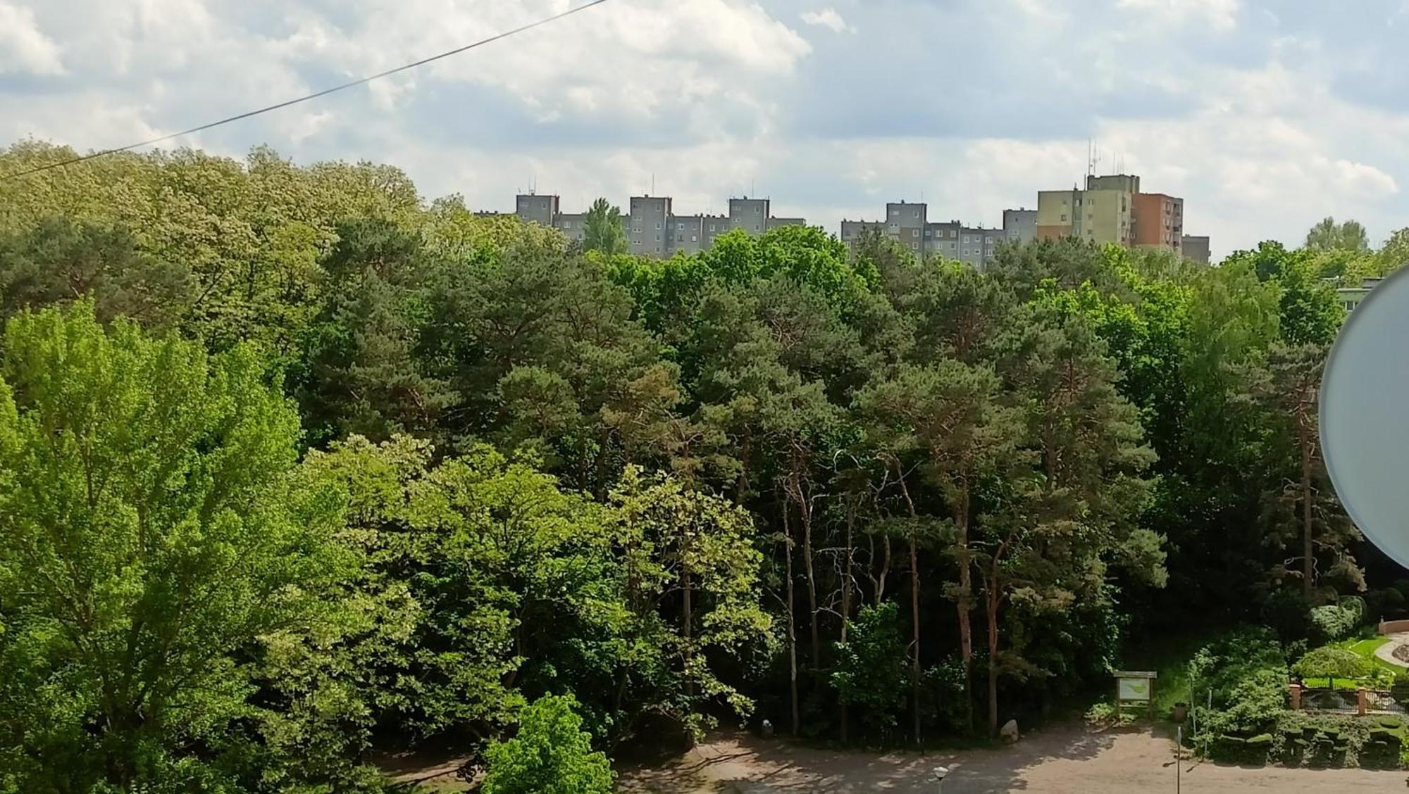 Drzewna Apartamenty - Wladyslawa Zielona Góra Buitenkant foto