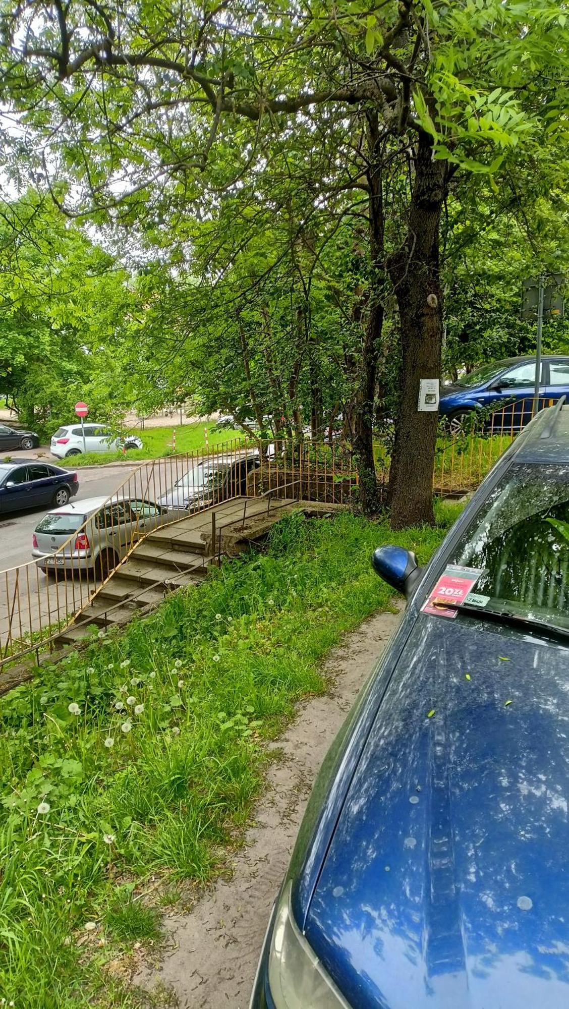 Drzewna Apartamenty - Wladyslawa Zielona Góra Buitenkant foto