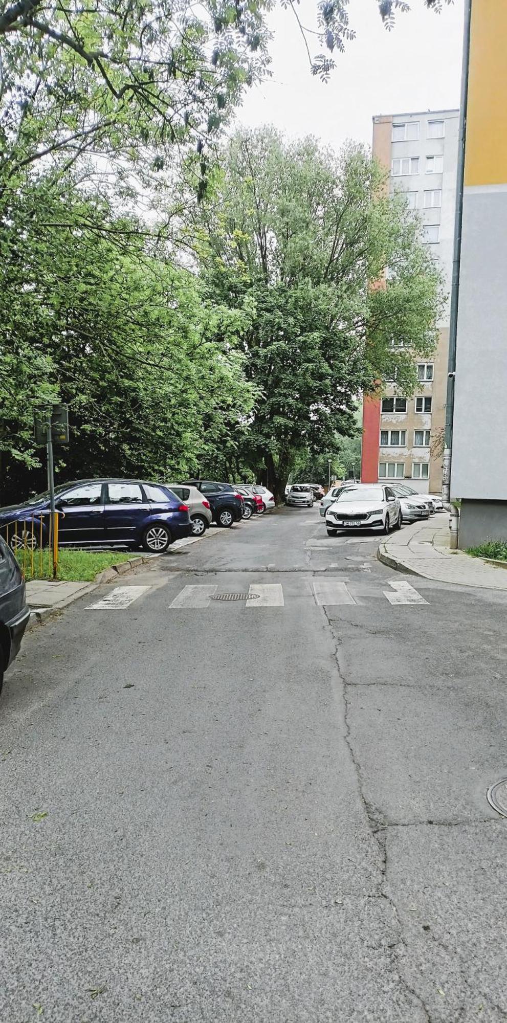 Drzewna Apartamenty - Wladyslawa Zielona Góra Buitenkant foto
