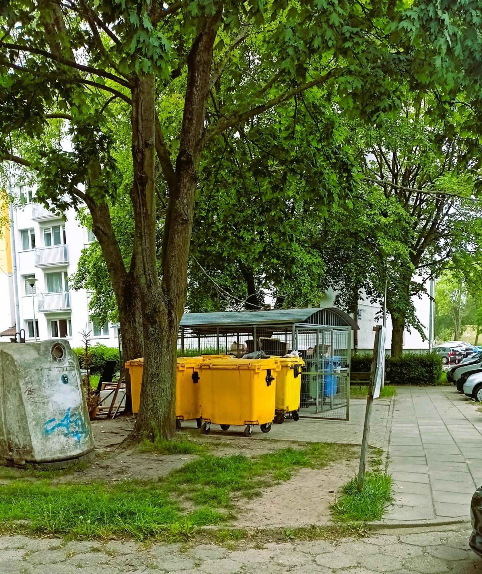 Drzewna Apartamenty - Wladyslawa Zielona Góra Buitenkant foto