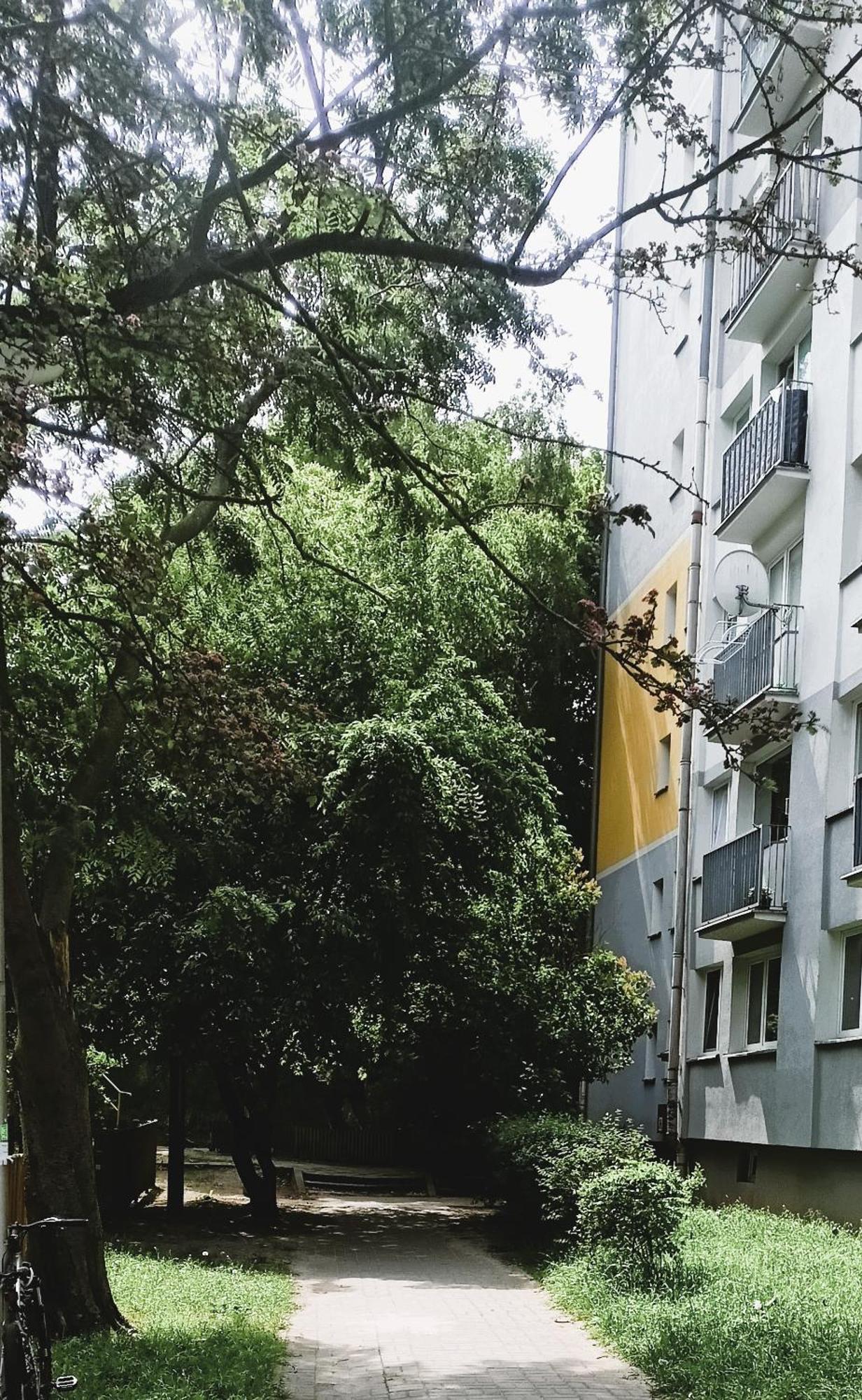 Drzewna Apartamenty - Wladyslawa Zielona Góra Buitenkant foto